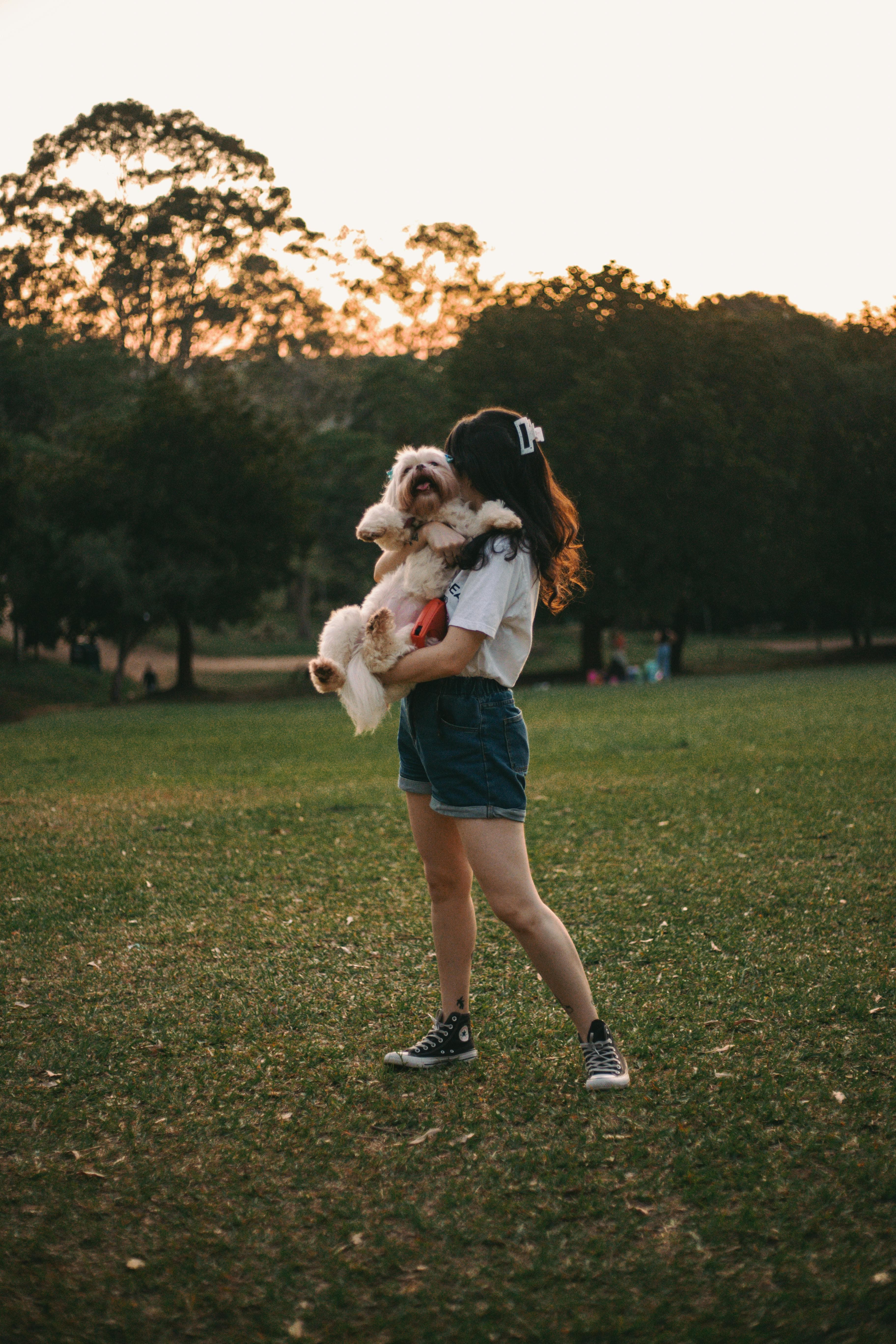 Una persona tiene in braccio un cane in un parco al tramonto