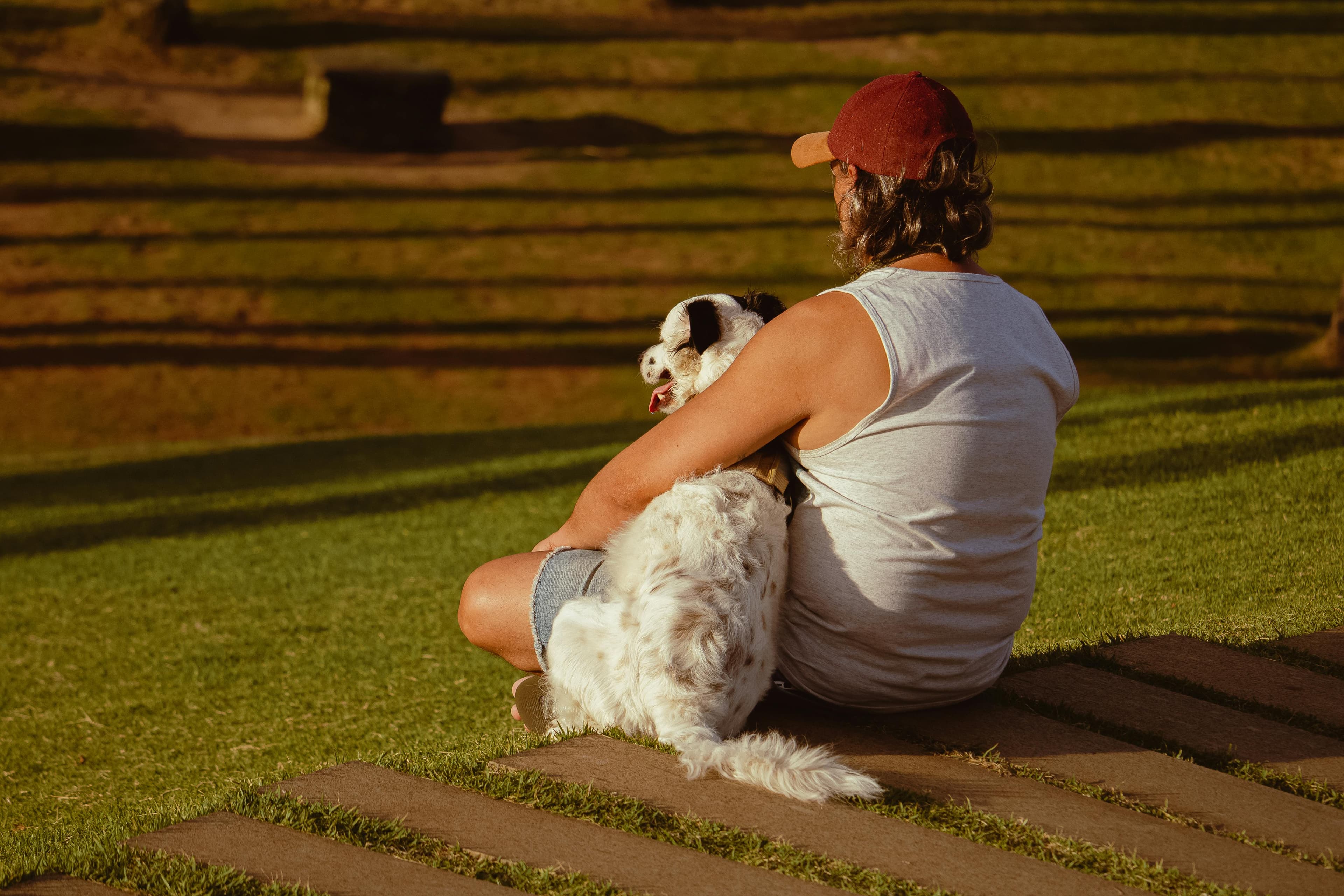 Una persona seduta con un cane al sole, in un momento di calma e compagnia